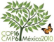 COP16