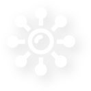 Seminarios de gramática en vivo
