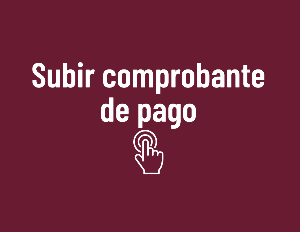 Botón subir comprobante