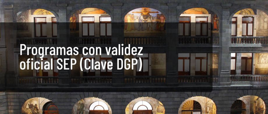 Programas con validez oficial