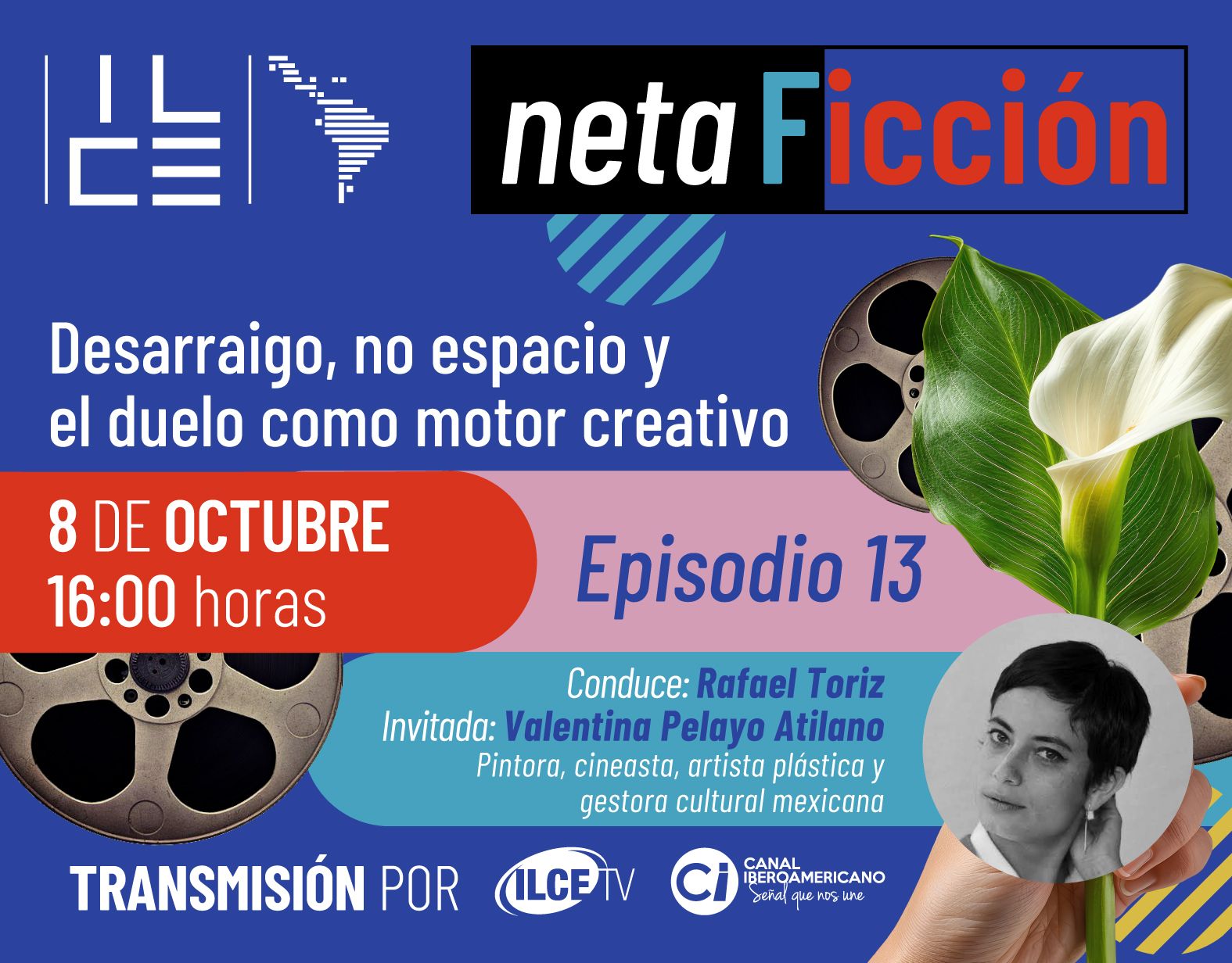 NETAFICCIÓN