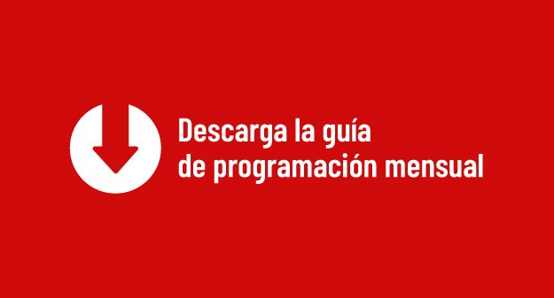 Descargar guía