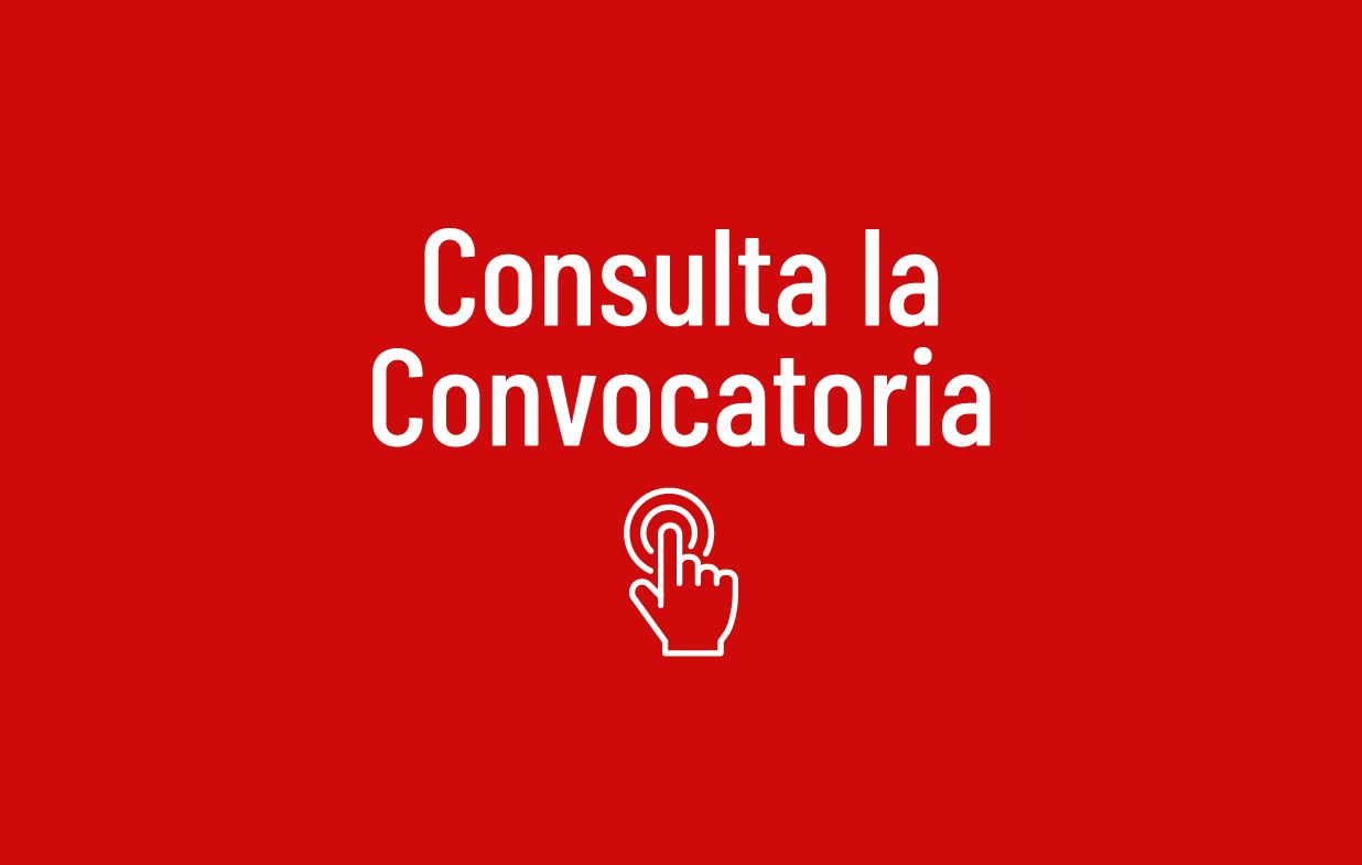 Consulta convocatoria