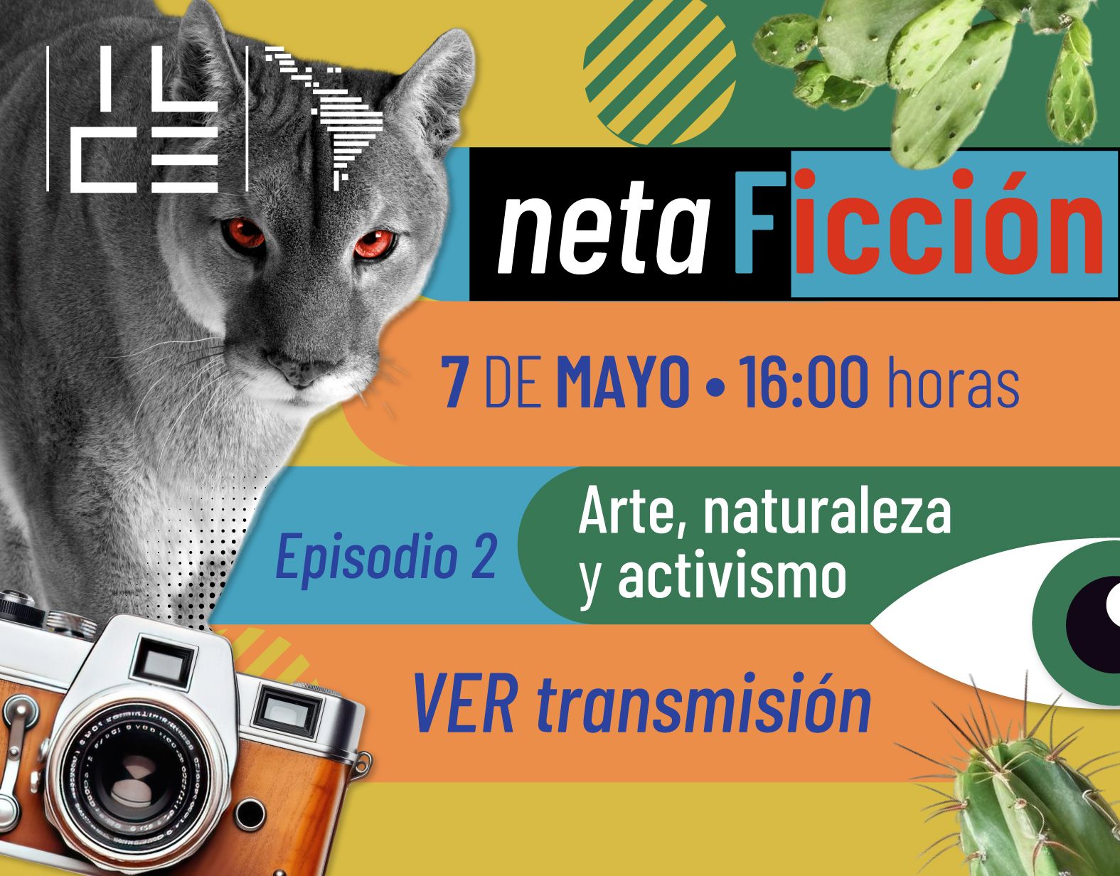 NETAFICCIÓN