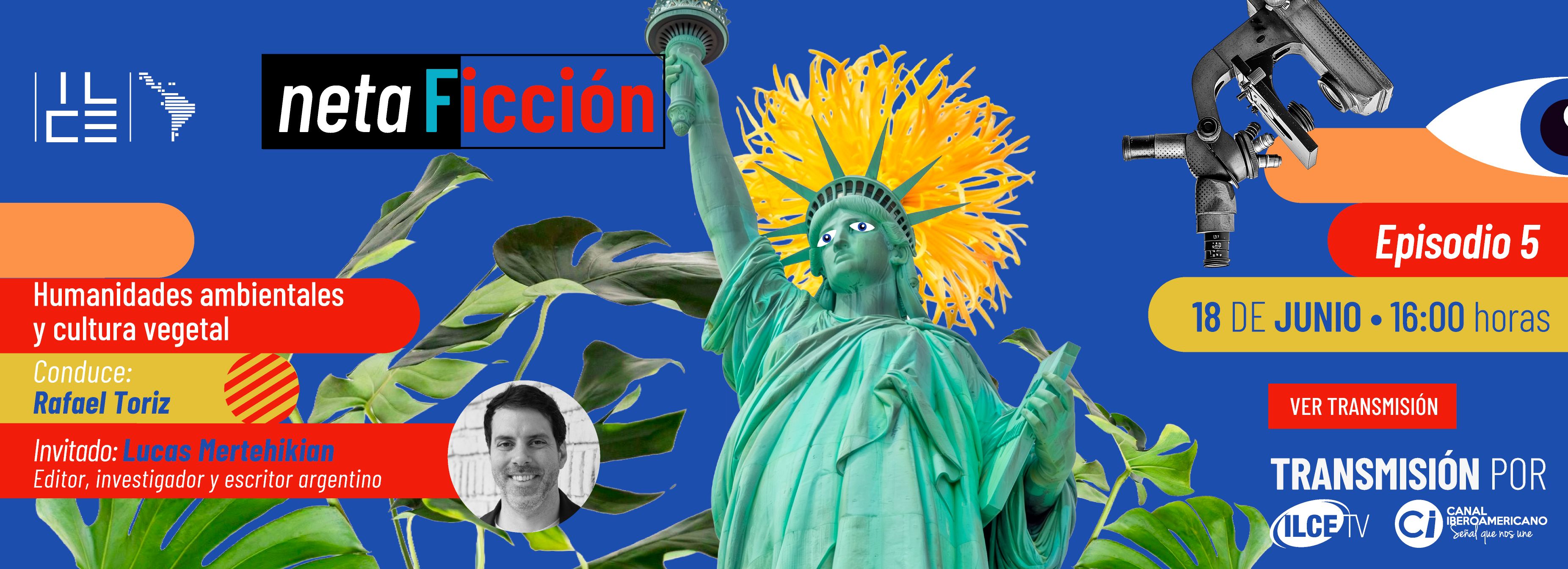 Netaficción